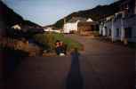 Boscastle visitors