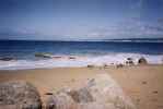 Beach at Pacific Grove