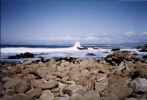 Surf at Pacific Grove