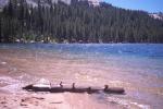 Lake at Tioga Pass