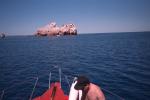 Sea Lion Rookery